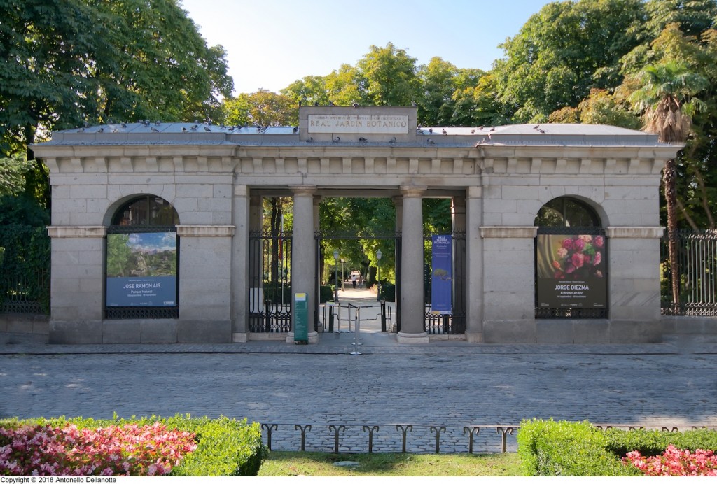 Real Jardín Botánico de Madrid 
